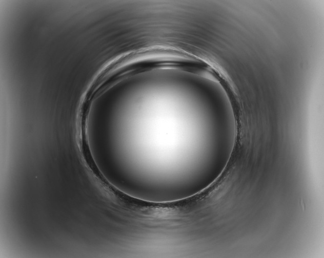 X0000088690984200705311153