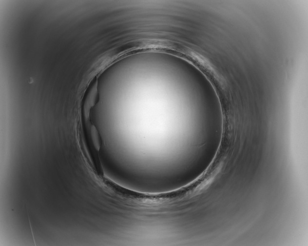 X0000088690985200705311153