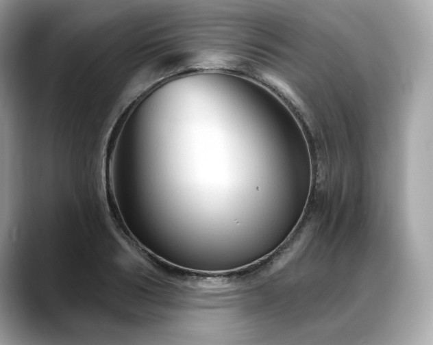 X0000088690986200705311153
