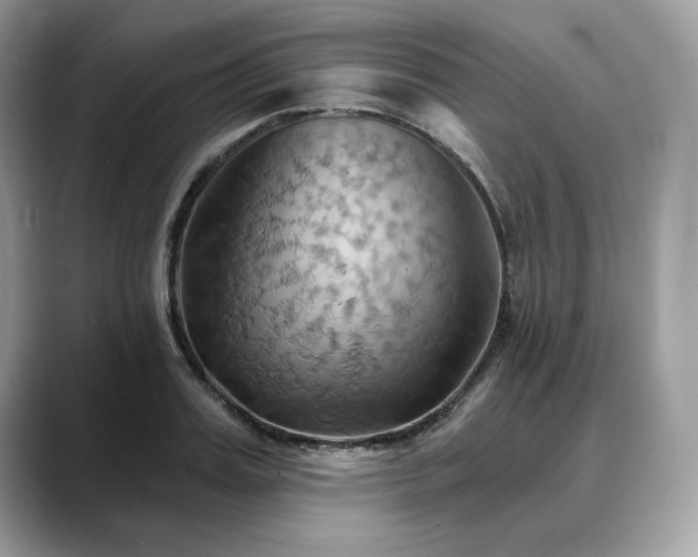 X0000088690987200705311153