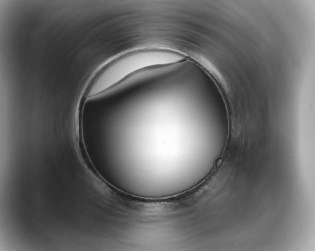 X0000088690988200705311153