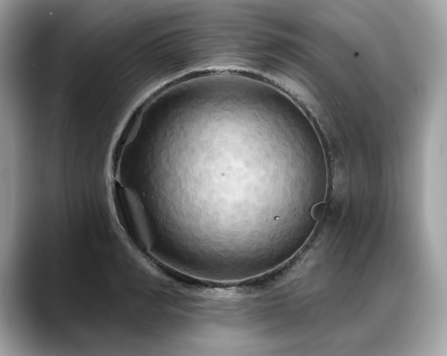 X0000088690990200705311153