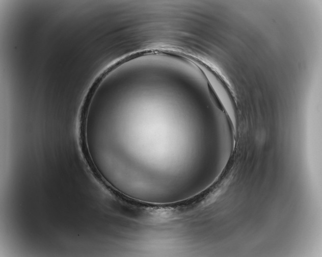 X0000088690991200705311153