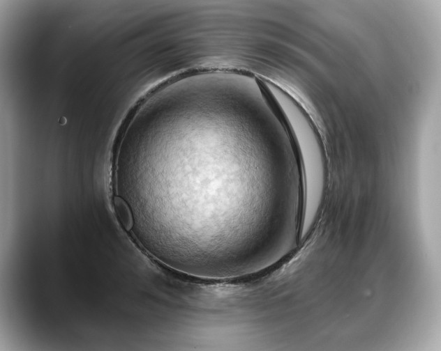 X0000088690992200705311153