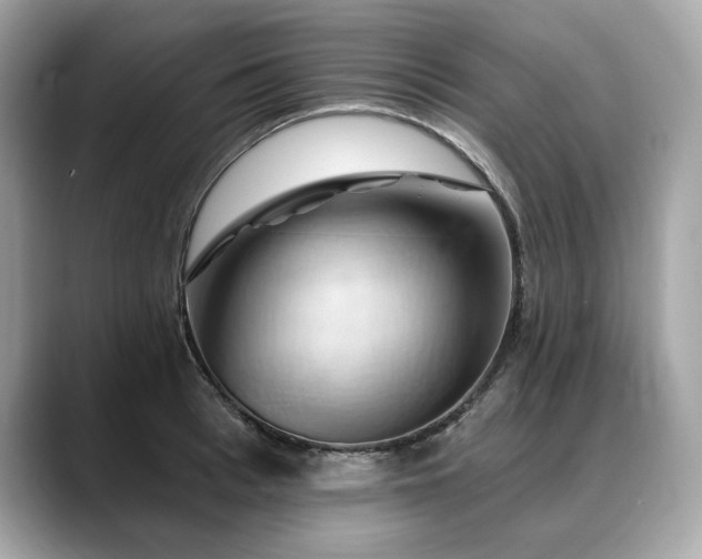 X0000088690993200705311153