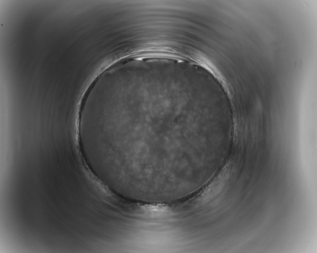 X0000088690994200705311153