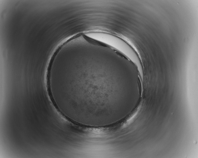 X0000088690995200705311153