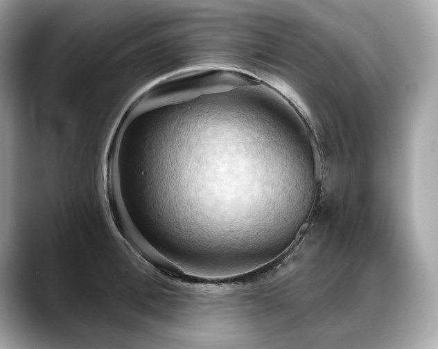 X0000088690996200705311153