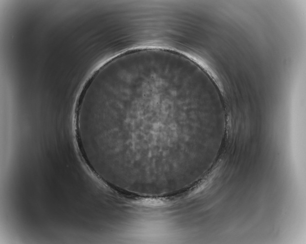 X0000088690998200705311153