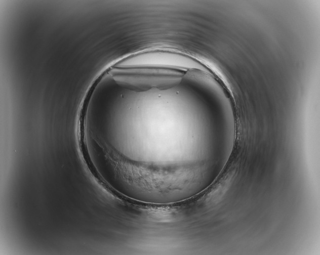 X0000088690999200705311153