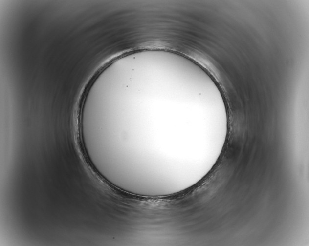 X0000088691000200705311153