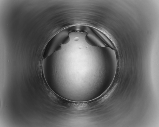 X0000088691001200705311153