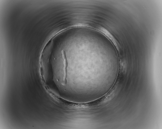 X0000088691002200705311153