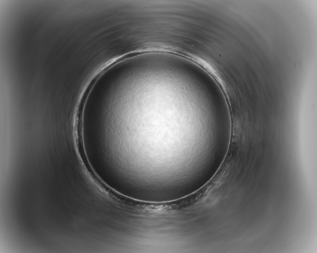 X0000088691003200705311153