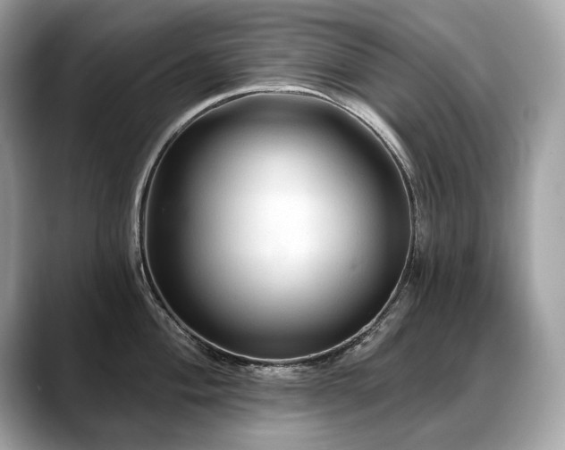 X0000088691004200705311153