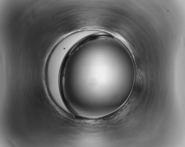 X0000088691005200705311153