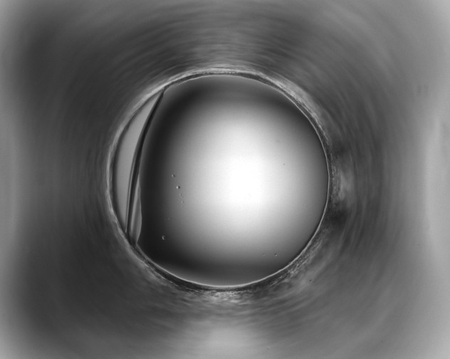 X0000088691006200705311153
