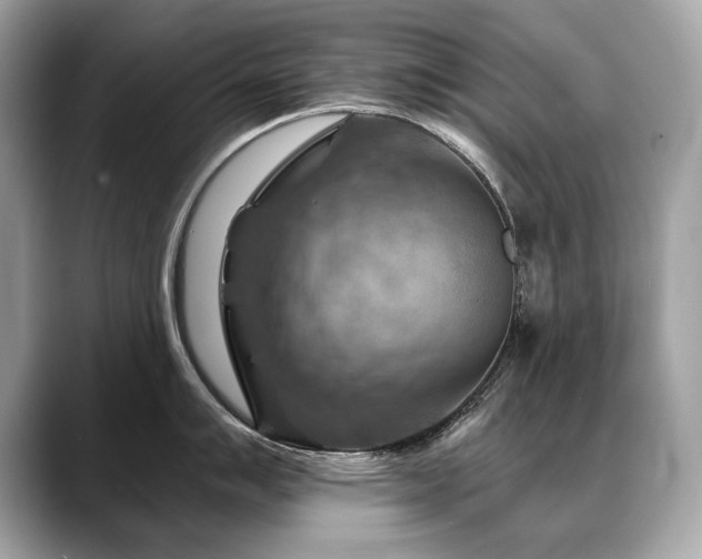 X0000088691007200705311153