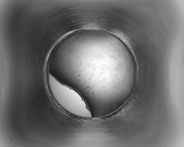 X0000088691008200705311153
