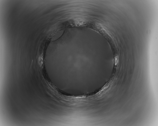 X0000088691011200705311153