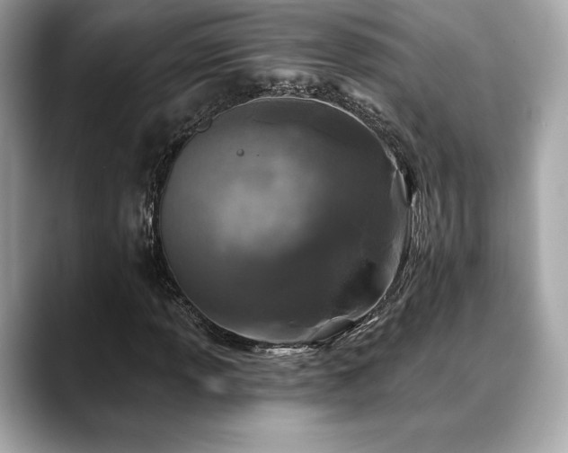 X0000088691013200705311153