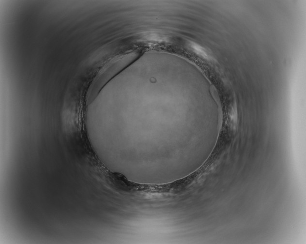 X0000088691014200705311153