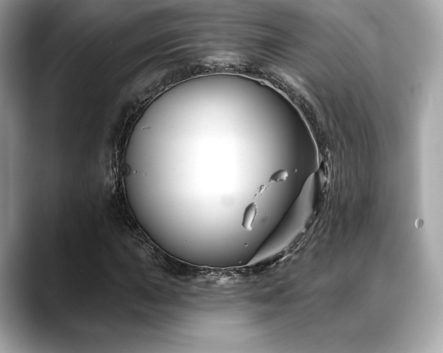 X0000088691015200705311153