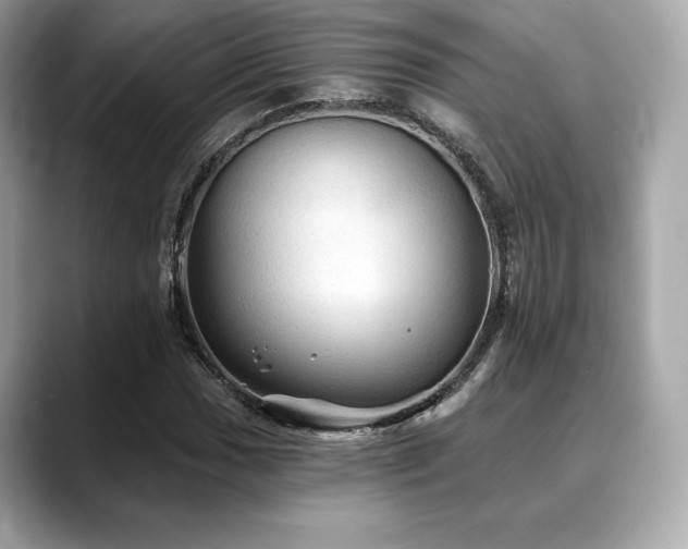 X0000088691017200705311153