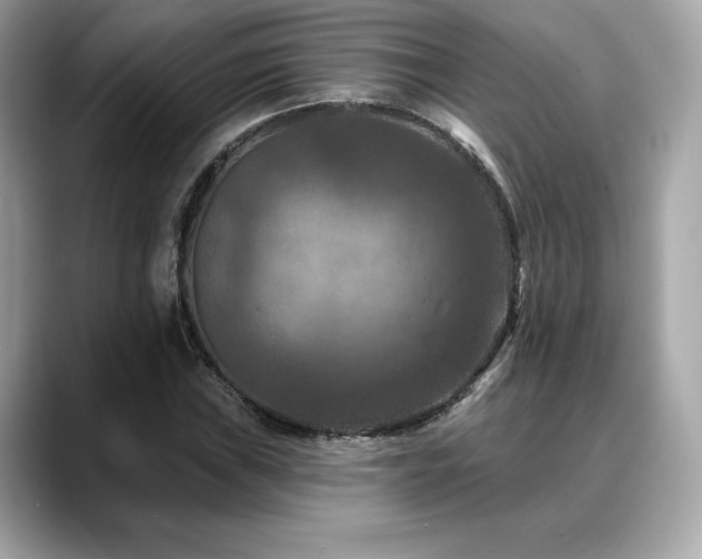X0000088691019200705311153