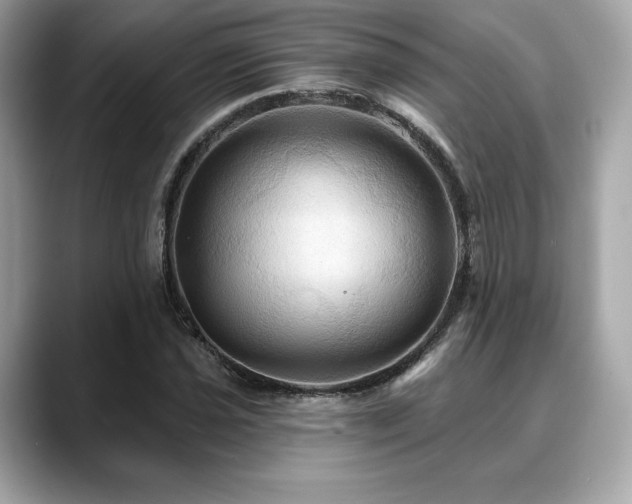 X0000088691021200705311153