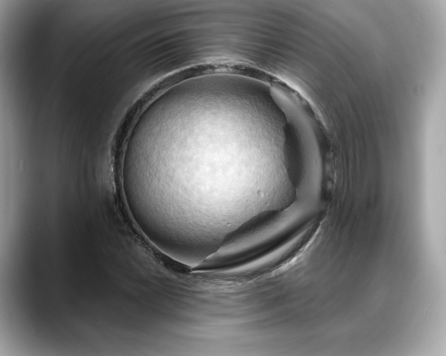 X0000088691022200705311153