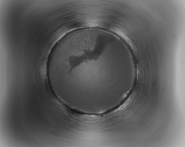 X0000088691023200705311153