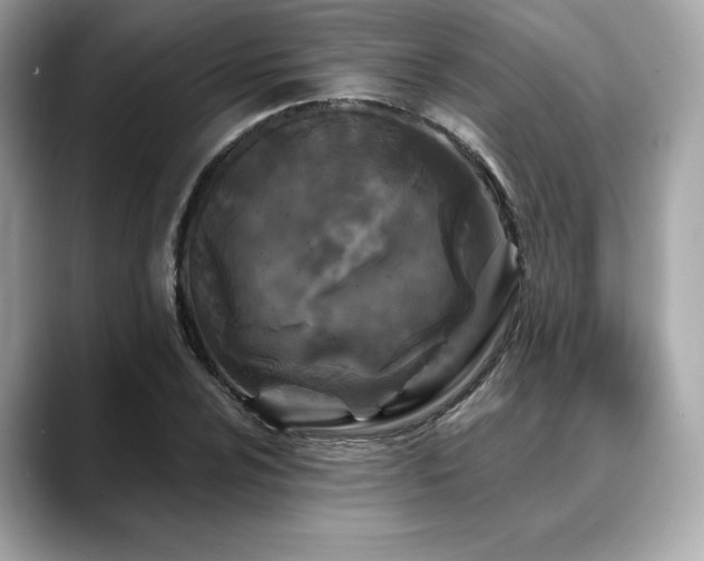 X0000088691024200705311153