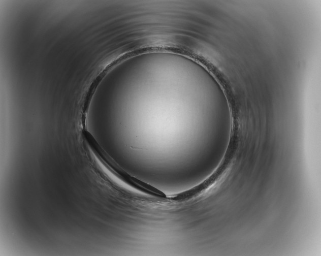 X0000088691025200705311153