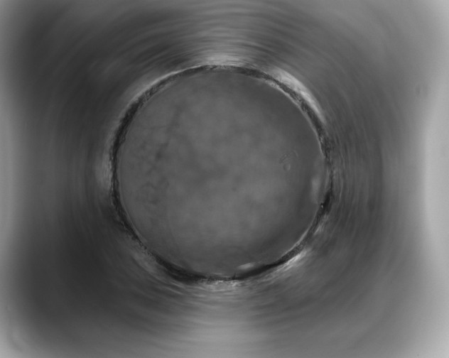 X0000088691027200705311153