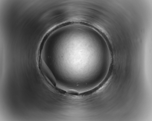 X0000088691029200705311153
