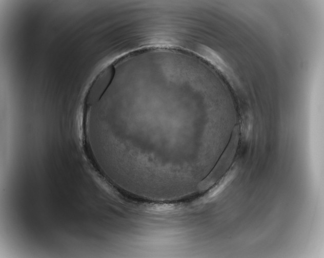 X0000088691030200705311153