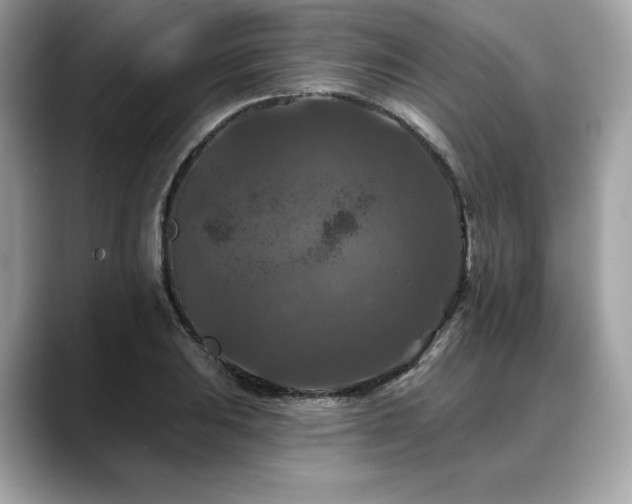 X0000088691031200705311153