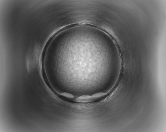 X0000088691032200705311153