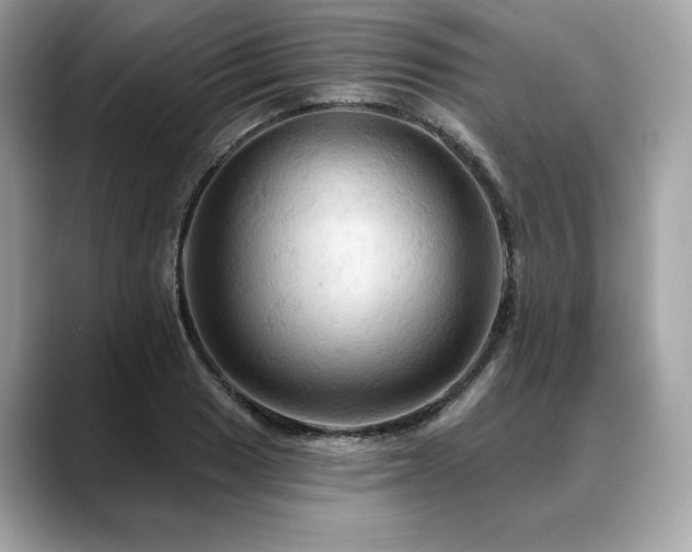 X0000088691033200705311153