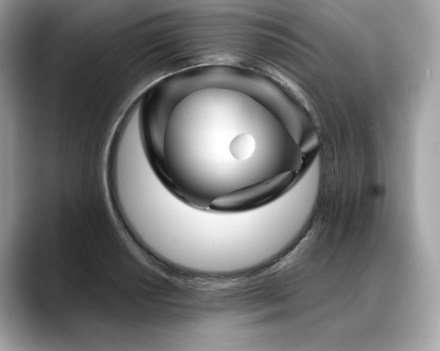 X0000088691034200705311153
