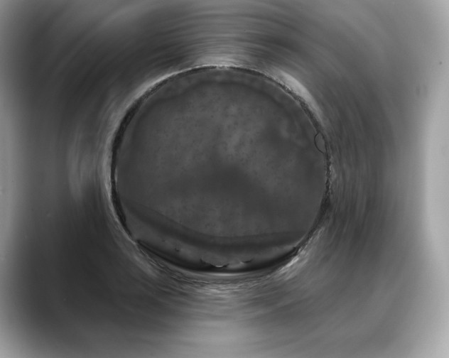 X0000088691035200705311153