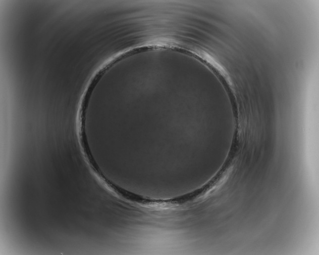 X0000088691037200705311153