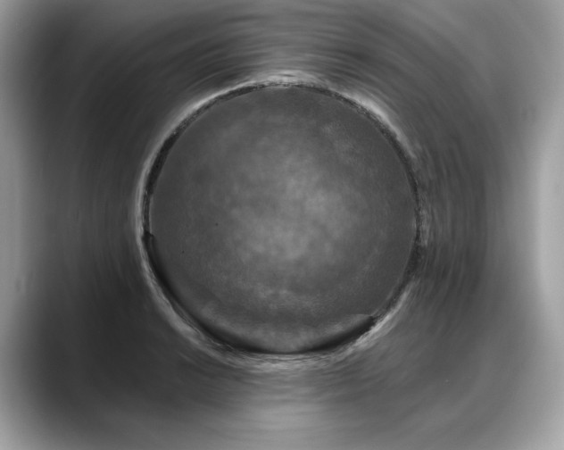 X0000088691038200705311153