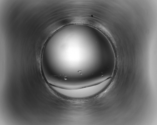X0000088691041200705311153