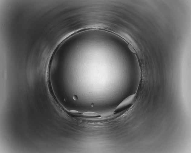 X0000088691044200705311153