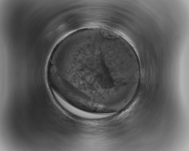 X0000088691045200705311153
