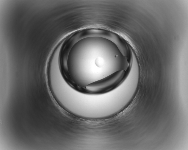 X0000088691046200705311153