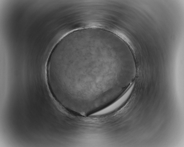 X0000088691047200705311153
