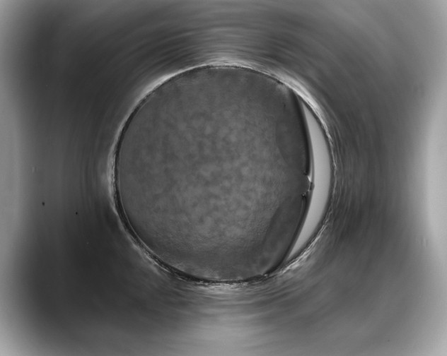 X0000088691048200705311153
